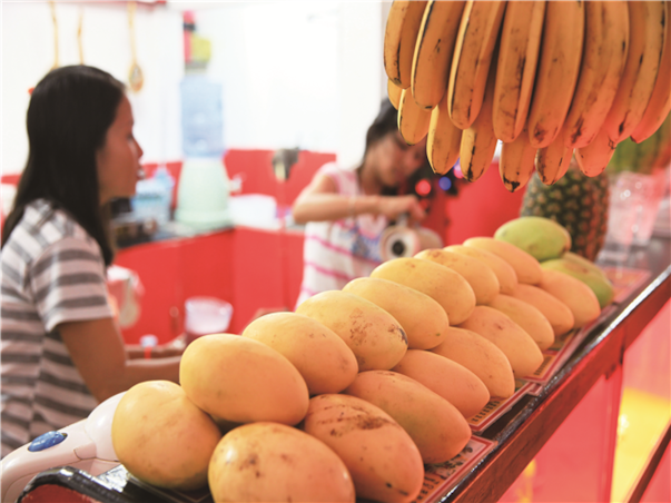 [$55상당특전] 세부 솔레아 프리미어씨티뷰 3박5일 [리조트디너1회/워터파크]