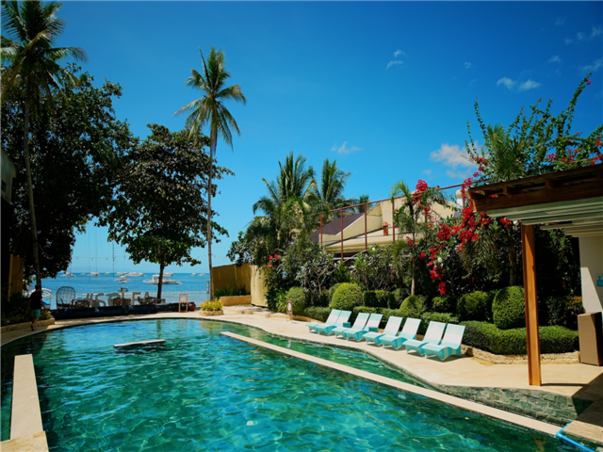 [보홀 / 솔레아 슈페리어] 거북이스노쿨링+돌핀왓칭 3박4일