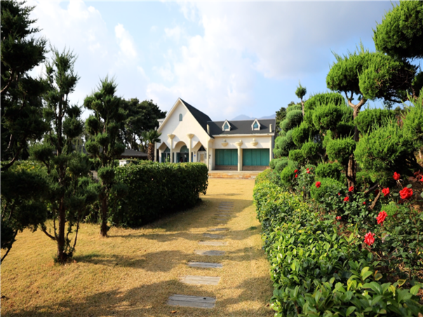 [강릉항/단독차량] 울릉도 죽도 독도 3일 ＜쾌속선/비치온호텔/우등석/육로A코스단독/관음도＞