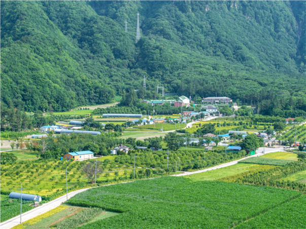 [강릉항/단독차량] 울릉도 죽도 독도 3일 ＜쾌속선/비치온호텔/우등석/육로A코스단독/관음도＞