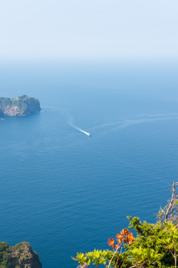 [포항영일만신항/4도탐방] 울릉도 독도 죽도 관음도 4일 ＜크루즈/모텔급/육로완전일주＞