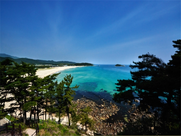 강원도 고성 당일여행 ＜지자체지원특가/해파랑길＞