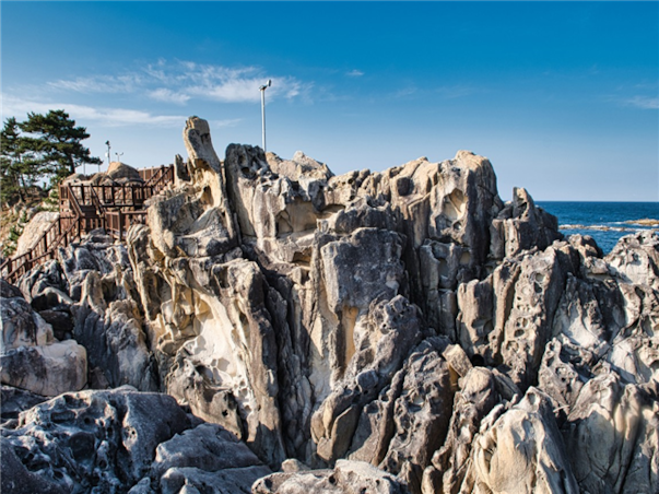 강원도 고성 당일여행 ＜지자체지원특가/해파랑길＞