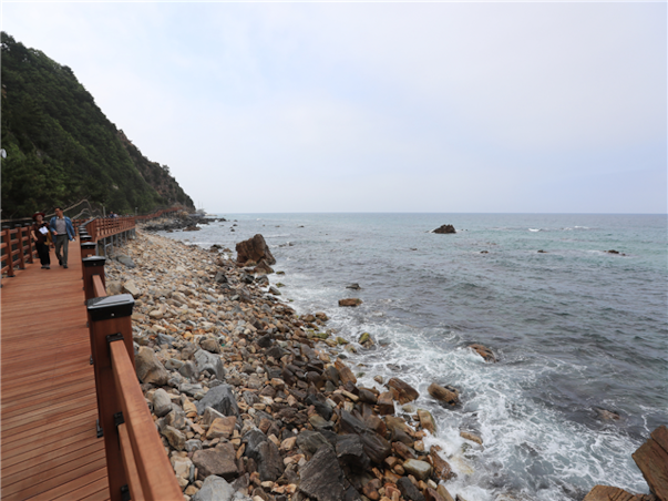 [KTX] 강원도 동해 강릉 당일여행