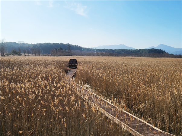 전라도 부안 당일여행 ＜자연이 빚은 변산반도＞