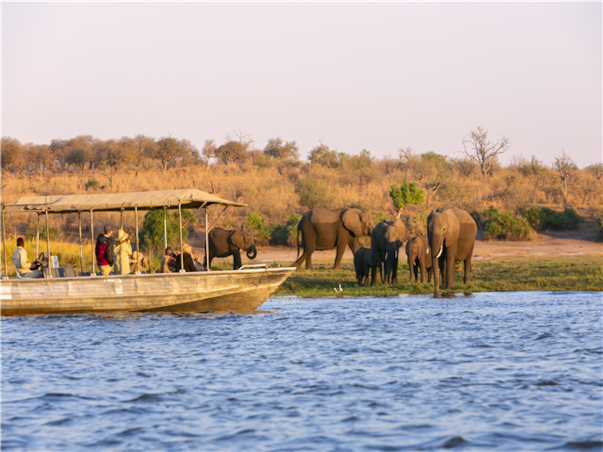 [KE비즈니스탑승]아프리카 6국+두바이 15일 ＜7대 Real사파리/빅토리아폭포/5성호텔/테이블마운틴/두바이베르사체호텔＞