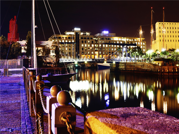 [완벽동선] 아프리카 4국 7일(짐바브웨/잠비아/보츠와나/남아공) ＜빅토리아폭포/사파리＞