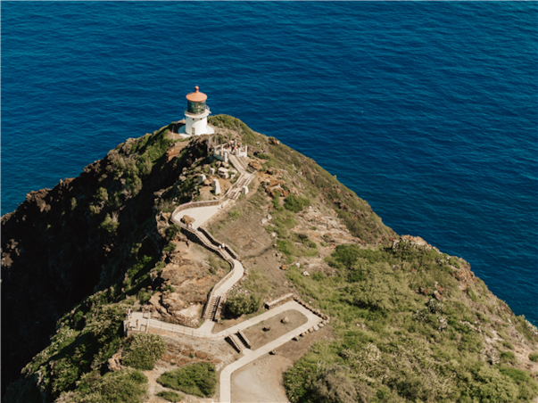 [슬림][관광1일+자유3일] 특급 힐튼 가든 인 ＜시티뷰＞ 하와이 6일