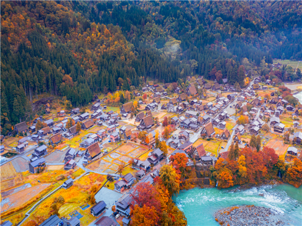 [실속/가을~겨울이오면~알펜루트] 나고야/가나자와/알펜루트 온천 4일(알펜루트횡단/시라카와고)