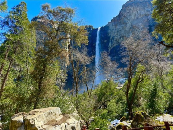 미서부 완전일주 10일 ＜라스1일자유일정 선택가능/게티센터/LAFC 기념품＞