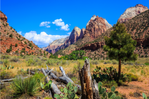 [출발확정] 미서부 완전일주 10일 ＜3대도시/5대캐년/라스2박＞