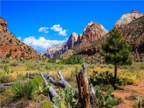 [품격/NO쇼핑] 미서부 완전일주 10일 ＜라스초특급/라스시티투어/호스슈/엔텔롭캐년/8대특식＞