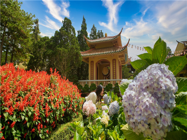 [비즈니스탑승][노쇼핑/노옵션/노팁] 7대옵션+미식여행 나트랑X달랏 패키지 3박5일[5성]