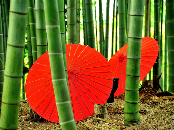 [미라클호] 오사카 럭셔리 크루즈 5일 ＜발코니스위트＞