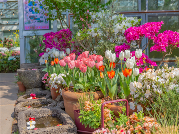 [4인출발] 제주 3일 ＜씨에스호텔/풀스위트/오션뷰독채/벤츠차량/아로마테라피/노쇼핑/노팁/노옵션＞