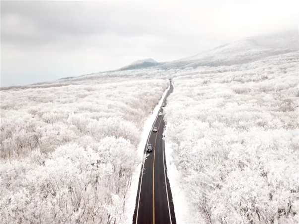 [섬속의힐링] 제주도 우도 3일 ＜노옵션/특식4회/곶자왈/사려니숲길/신신호텔＞