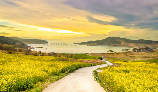 [KTX-모텔] 완도 보길도 청산도 1박2일