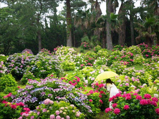 [이스타항공 특가] [힐링BEST] 펠롱펠롱 제주 3일 