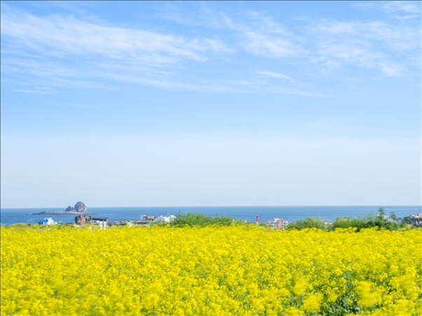 [광주출발][제주한섬] 제주도 가파도 4일 
