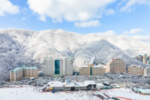 소노벨 비발디파크 B , C