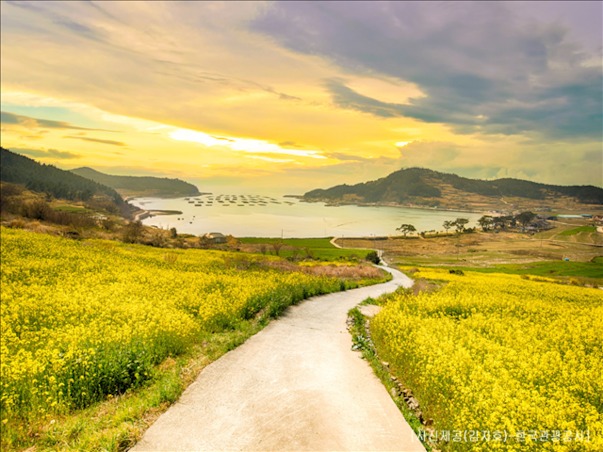 [KTX-모텔] 완도 보길도 청산도 1박2일 